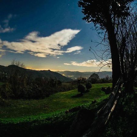 Locanda Montepaolo Dovadola Bagian luar foto